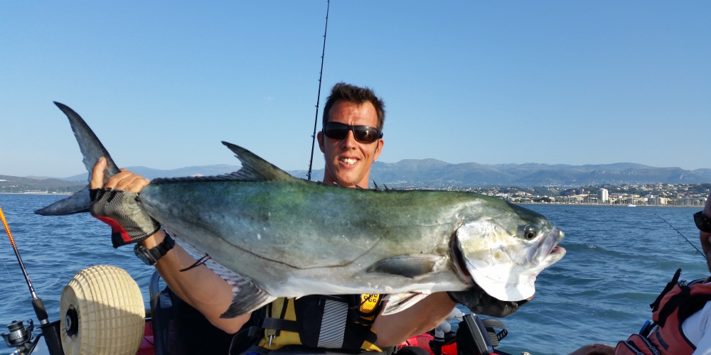 Comme le montre cette liche prise par Fabien, La pêche au vif sans plomb est ultra efficace sur cette espèce !