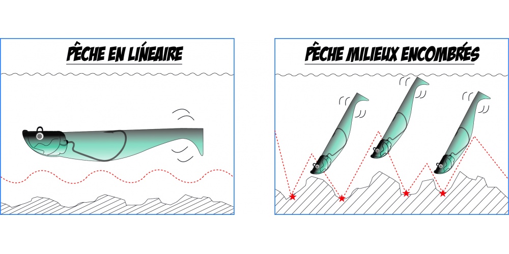 Nage du Blue Shad Nage du Blue Shad