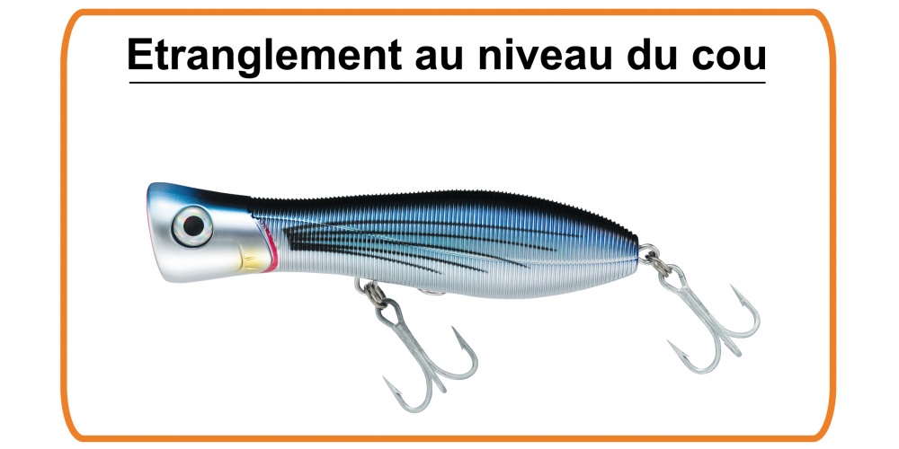 L’étranglement au niveau du cou favorise la création de trainées de bulles