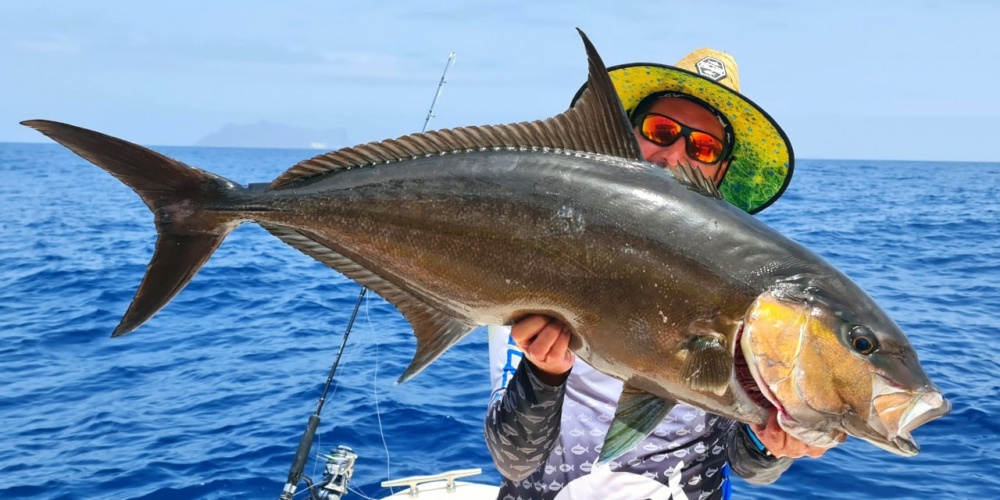 Le coloris sardine du Real Fish JLC fonctionne très bien sur les pélagiques !