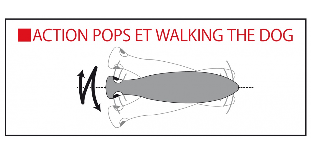 Le Bull Pop est un des rares poppers à avoir une action pops et wwalking the dog