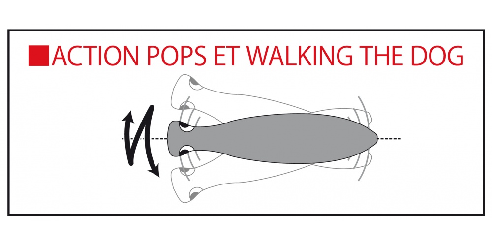 Le Bull Pop est un des rares poppers à avoir une action pops et wwalking the dog Le Bull Pop est un des rares poppers à avoir une action pops et wwalking the dog