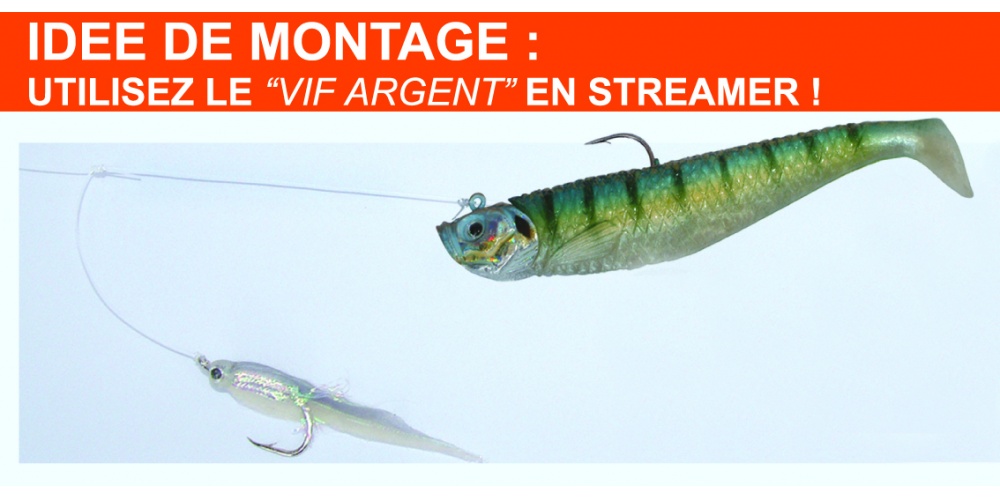 Ce Vif argent déjà monté en teaser sur un bas de ligne en fluorocarbone 40/100 est prêt à pêcher !