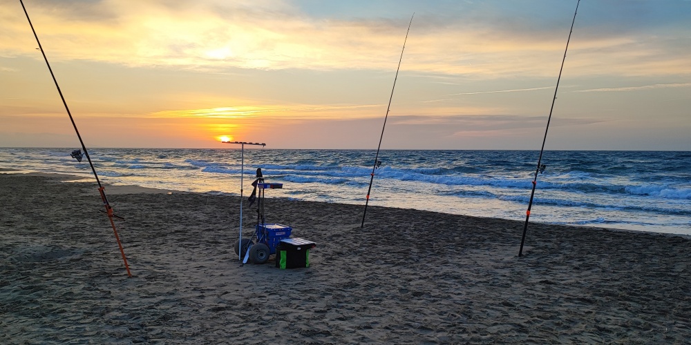 Italcanna : le top pour le surfcasting ! Italcanna : le top pour le surfcasting !