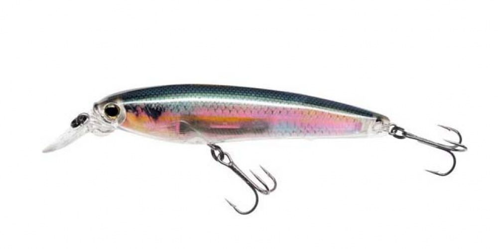 3DR Minnow, le jerkbait dernière génération (1)