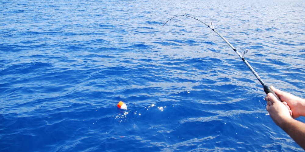 Le Tuna Plug version large en action Le Tuna Plug version large en action
