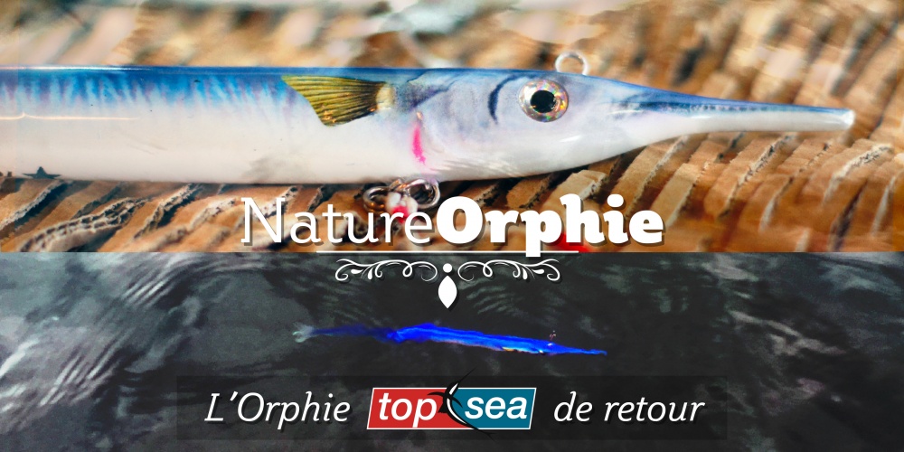 Annonce Orphie Top Sea 2019