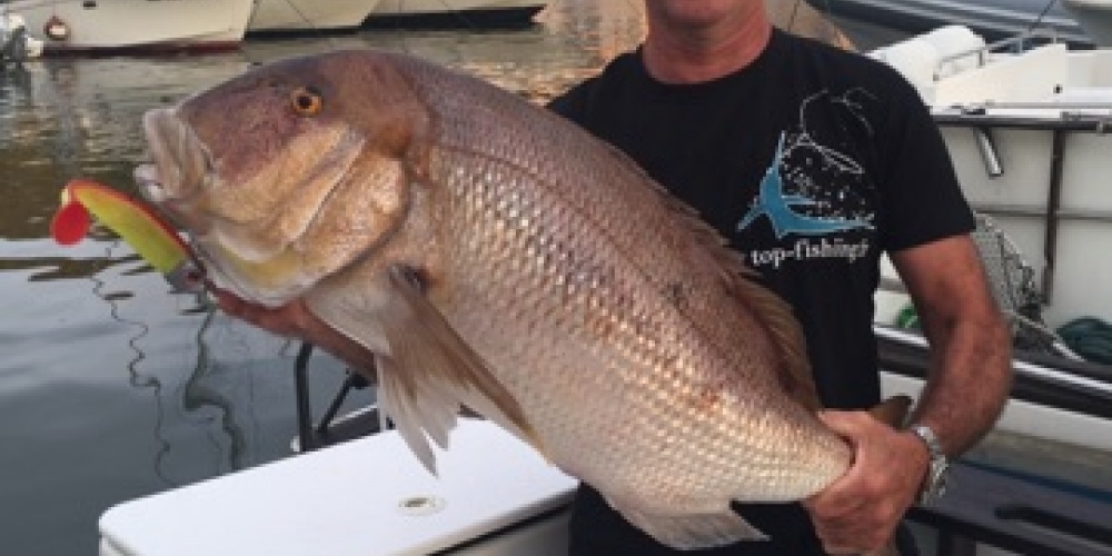 Denti Pris par un client Top Fishing