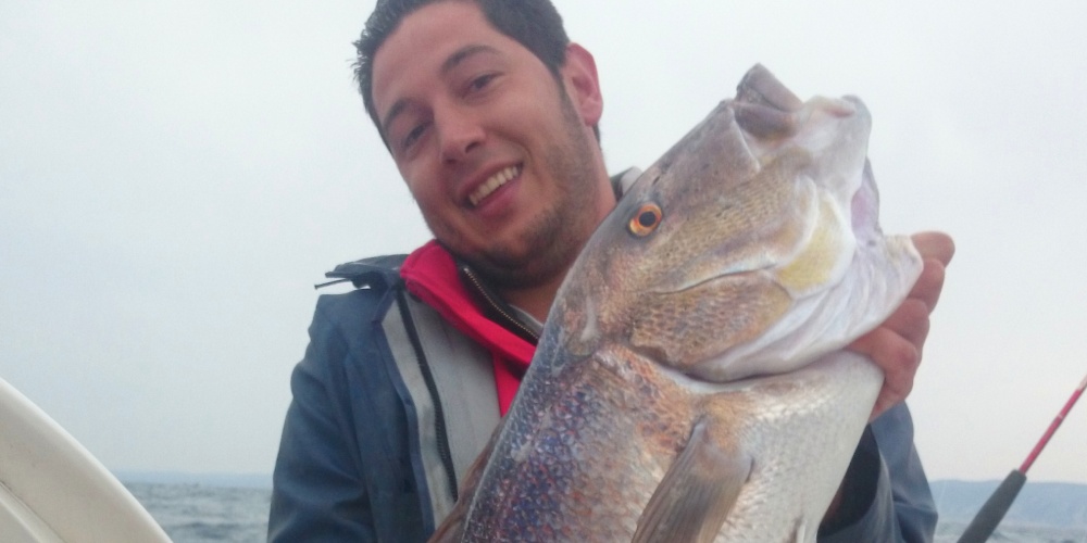 Un énorme denti de plus de 9kg pêché en méditérrannée