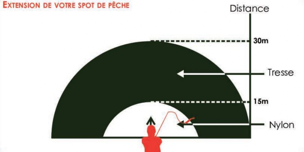 Croyez le ou pas, mais les calamars viennent près de la cote en groupe et nous pouvons en attraper à la ligne depuis le bord Croyez le ou pas, mais les calamars viennent près de la cote en groupe et nous pouvons en attraper à la ligne depuis le bord
