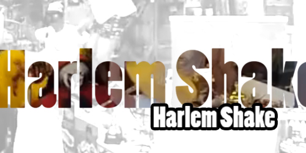 Le premier Harlem de la pêche Française ! Le premier Harlem de la pêche Française !