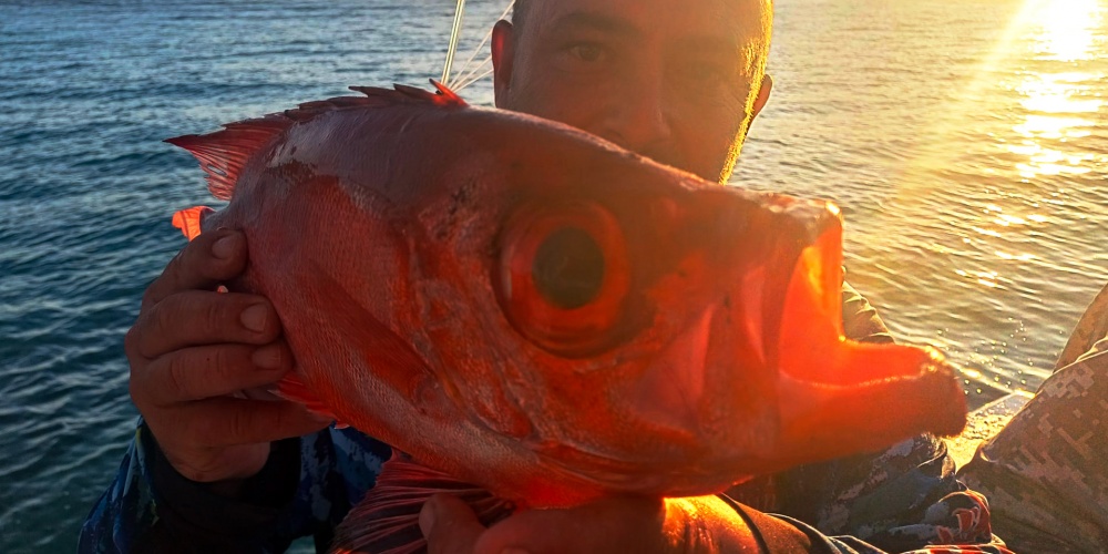 Jérôme pose fièrement avec un vivaneau rouge capturé lors d'une sortie en mer, sous un magnifique coucher de soleil en Martinique. Jérôme pose fièrement avec un vivaneau rouge capturé lors d'une sortie en mer, sous un magnifique coucher de soleil en Martinique.