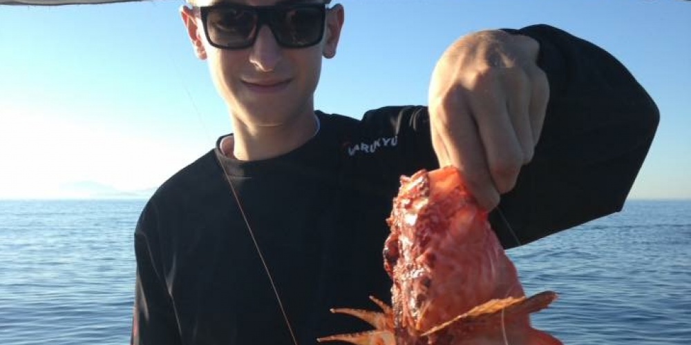 Lucas Chappaz pêche un beau chapon avec l'Oval Tenya