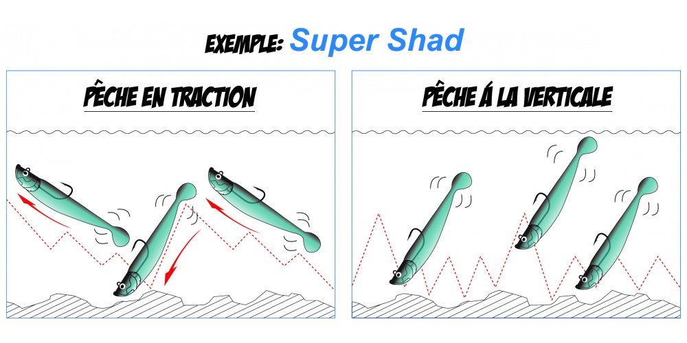 Nage des shads réactifs