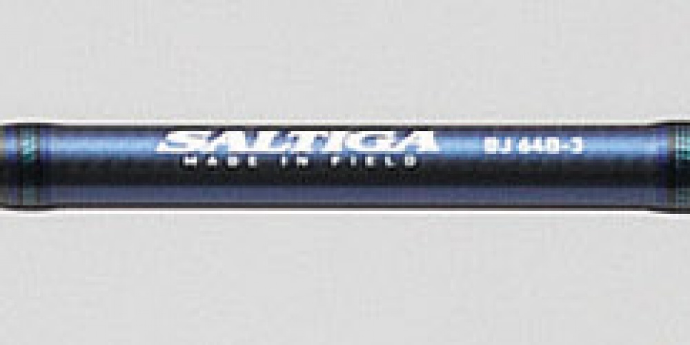Saltiga Slow Jigging Saltiga Slow Jigging