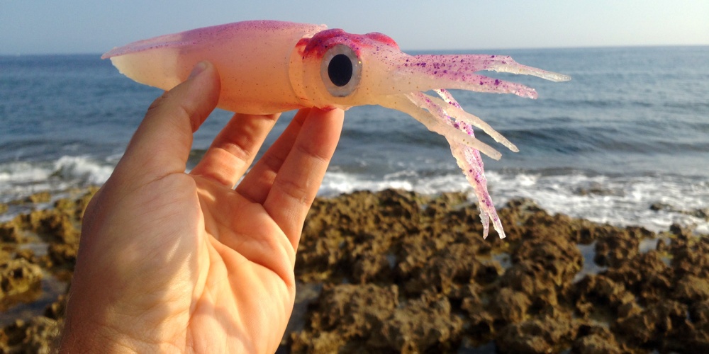 Le Destroyer SquidArt prend la pose (2) Le Destroyer SquidArt prend la pose (2)