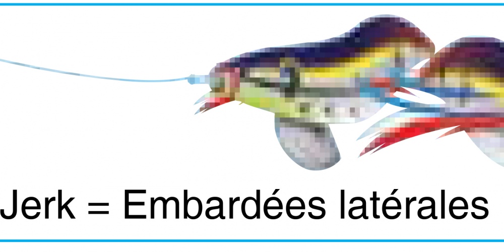 Les Egis peuvent etre jerkees comme des poissons nageurs Les Egis peuvent etre jerkees comme des poissons nageurs