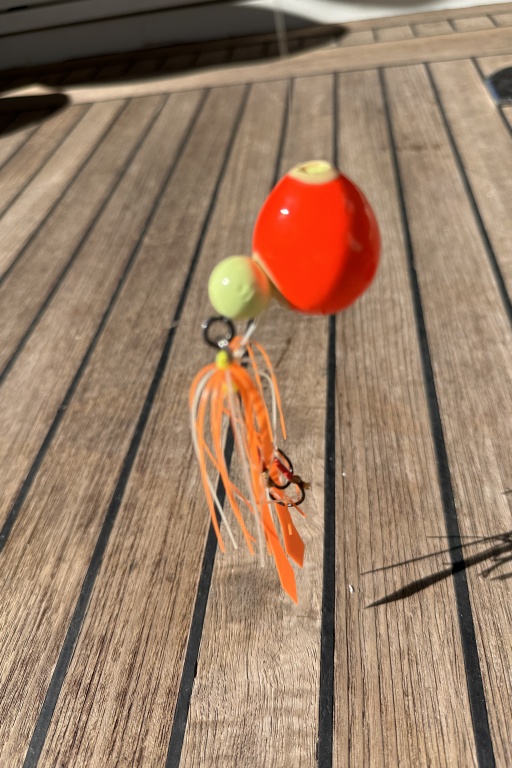 Tai Tunita : un nouveau concept inédit de madaï jig ! Tai Tunita : un nouveau concept inédit de madaï jig !
