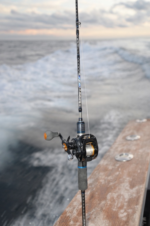 La canne Amazing C631 Top Fishing a une action parfaite pour pêcher au tenya ! La canne Amazing C631 Top Fishing a une action parfaite pour pêcher au tenya !