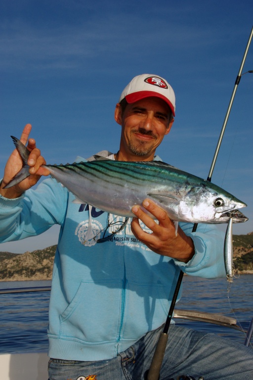En cas de chasse mixte bonites / maquereaux, un poisson nageur permet de sélectionner les pélagiques En cas de chasse mixte bonites / maquereaux, un poisson nageur permet de sélectionner les pélagiques