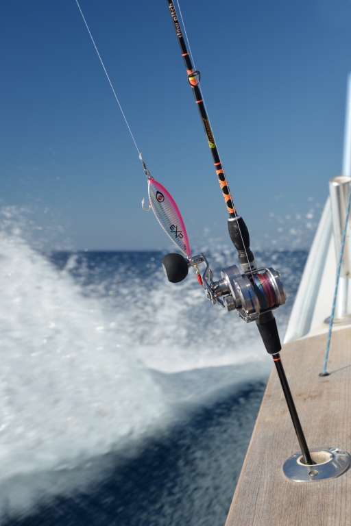 Conçue initialement pour pêcher au slow jig, la Slow Pitch Italcanna permet aussi de pêcher à l’inchiku ou au madaï jig ! Conçue initialement pour pêcher au slow jig, la Slow Pitch Italcanna permet aussi de pêcher à l’inchiku ou au madaï jig !