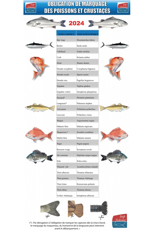 Tableau espèces avec obligation de marquage