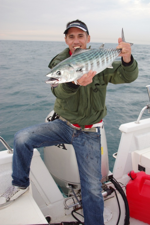 Un poisson nageur de bonne taille offre l’avantage de cibler les plus belles pélamides !