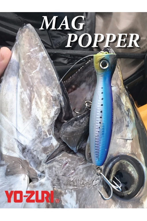 Le Mag Popper Yo-Zuri est un aimant à thons rouges ! Le Mag Popper Yo-Zuri est un aimant à thons rouges !