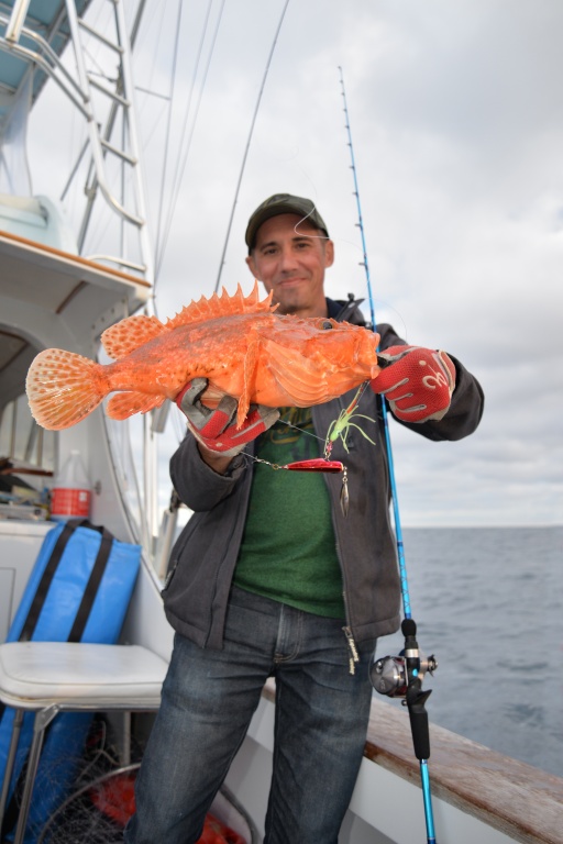 Magnifique chapon de 2 kg pris à l’inchiku par 140 m de fonds ! 