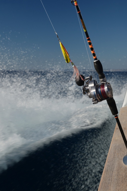 Ultra polyvalente, la Slow Pitch Italcanna permet aussi de pêcher à l’inchiku Ultra polyvalente, la Slow Pitch Italcanna permet aussi de pêcher à l’inchiku