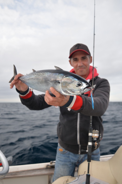 Bonitou au Meiji Explorer Tackle 17 g pris par notre consultant Stéphane Charles Bonitou au Meiji Explorer Tackle 17 g pris par notre consultant Stéphane Charles