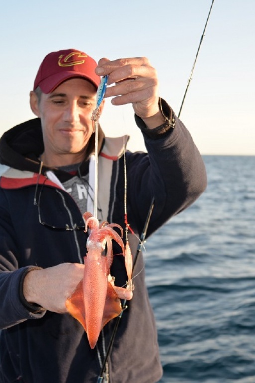 Les Ultra Baits permettent de pêcher des calamars même en pleine journée Les Ultra Baits permettent de pêcher des calamars même en pleine journée