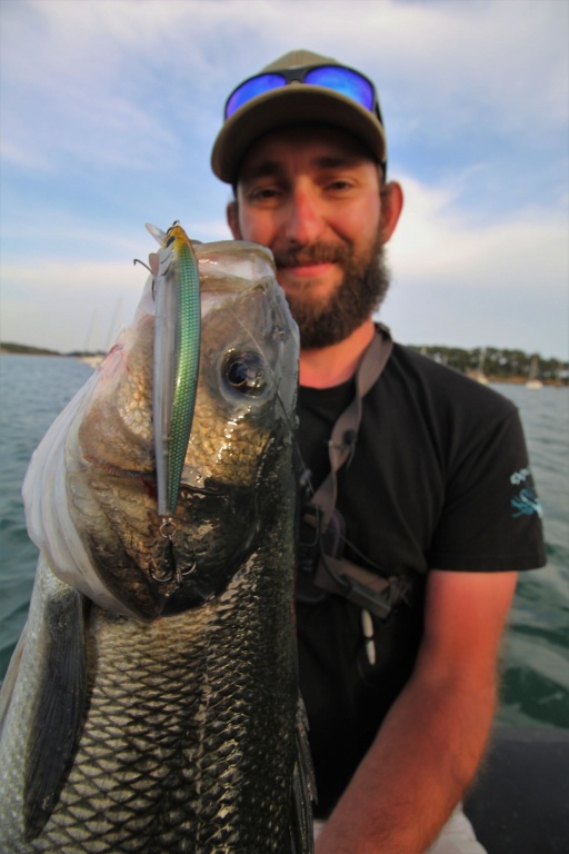 Gros bar pêché au 3DB Jerkbait Yo-Zuri ! Gros bar pêché au 3DB Jerkbait Yo-Zuri !