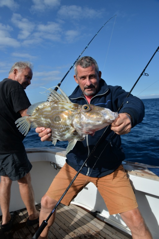 Ce beau Saint-Pierre a été pris sur un montage appâts boosté avec des octopus