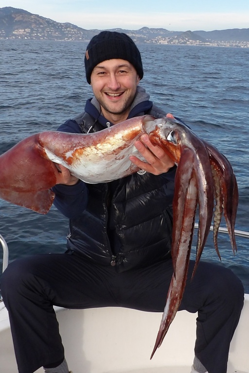 Ce calamar rouge de 7 kg pris par un des stagiaires du guide de pêche Fabien Harbers montre combien ces céphalopodes peuvent devenir gros ! 