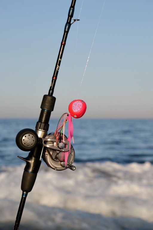 Ce madaï Daiwa peut accueillir des appâts comme un kabura Ce madaï Daiwa peut accueillir des appâts comme un kabura