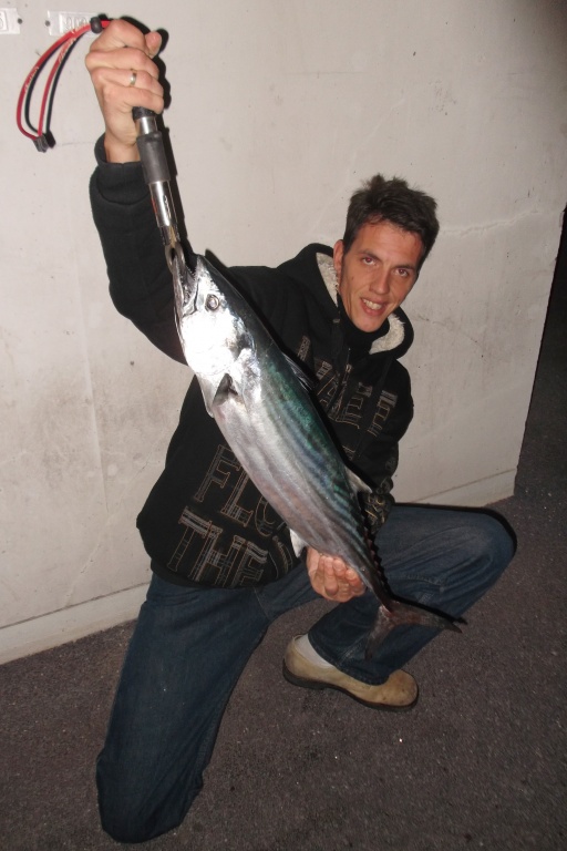 Pélamide prise du bord en shore jigging par Fabien Harbers Pélamide prise du bord en shore jigging par Fabien Harbers