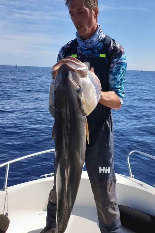 Enorme sériole prise au downrigger Kristal Fishing par le guide de pêche Fabien Harbers 