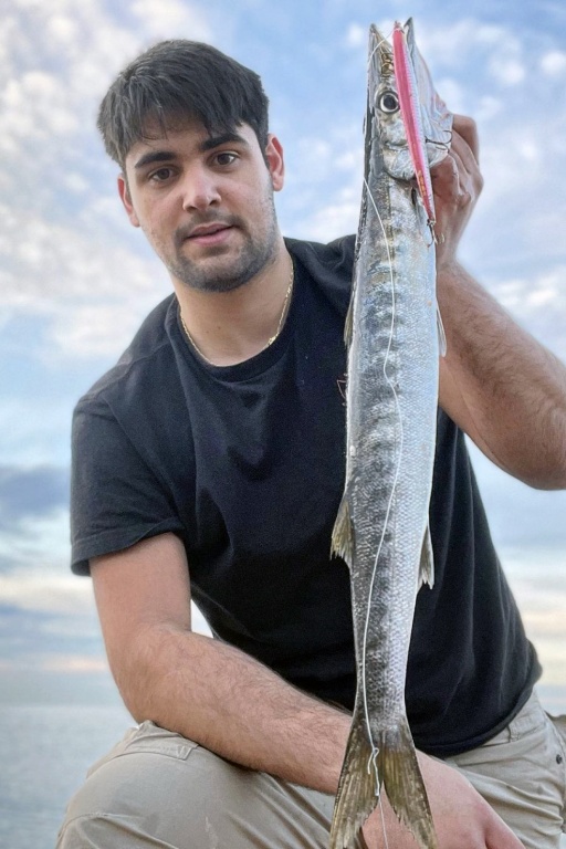 Les barracudas apprécient beaucoup les Mommotti Seaspin ! Les barracudas apprécient beaucoup les Mommotti Seaspin !