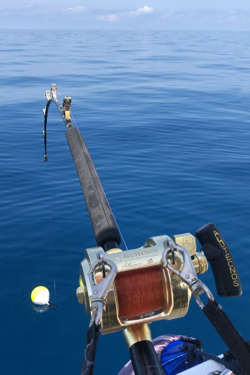 Départ d’un thon rouge : le flotteur Release Tuna Plug Top Game s’est détachée et coulisse désormais sur la ligne