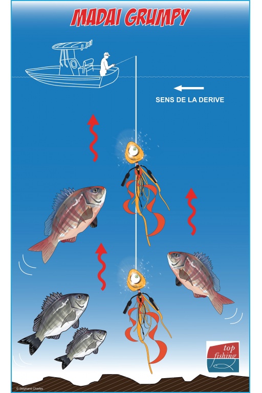 Une simple récupération linéaire suffit pour que le Grumpy Fish Glowbite soit efficace Une simple récupération linéaire suffit pour que le Grumpy Fish Glowbite soit efficace