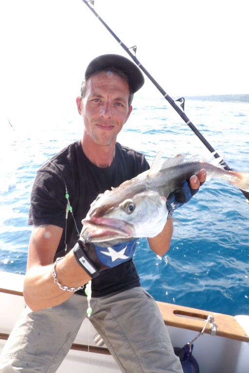 Les pêches en grandes profondeurs permettent de toucher de beaux merlus Les pêches en grandes profondeurs permettent de toucher de beaux merlus
