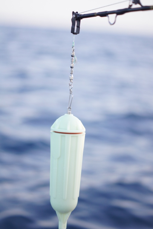 Une lampe LP 15 Kristal Fishing attire les calamars rouges sur de très grandes distances ! Une lampe LP 15 Kristal Fishing attire les calamars rouges sur de très grandes distances !