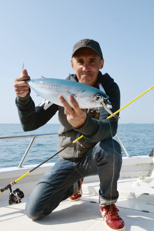 L’Artist Jackson est l’exemple typique du petit jerkbait parfait pour les chasses de bonites !