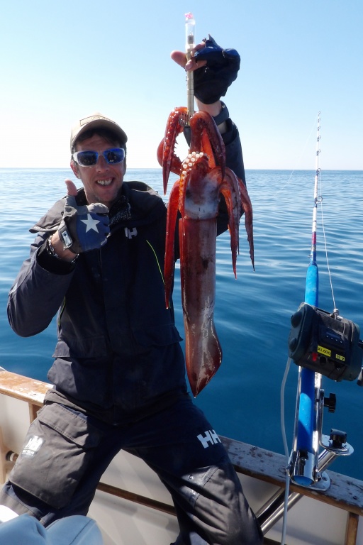 Calamar pris par Fabien Harbers en jiggant une turlutte plombée lumineuse avec le moulinet électrique XL 600 Kristal Fishing description Calamar pris par Fabien Harbers en jiggant une turlutte plombée lumineuse avec le moulinet électrique XL 600 Kristal Fishing description