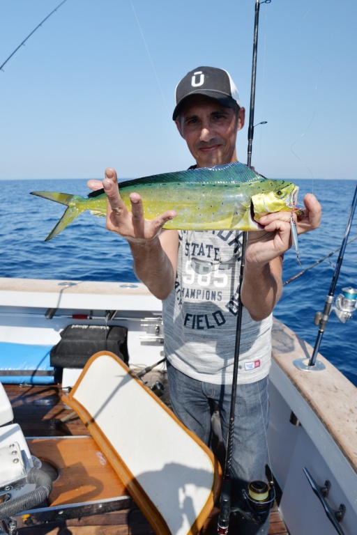 Coryphène prise au lancer au casting jig Coryphène prise au lancer au casting jig