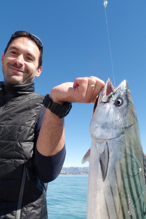 Pélamide de 3 kg pris au sabiki Hayabusa par ce stagiaire de Fabien Harbers.