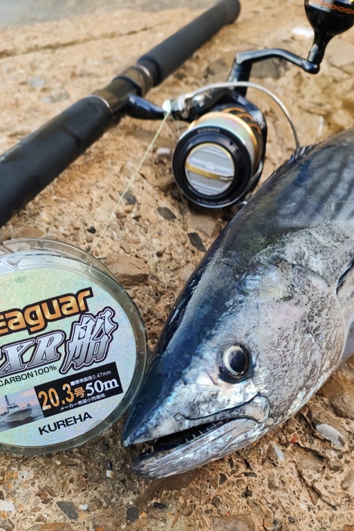 Le FXR Seaguar est devenu un standard dans les fluorocarbones haut de gamme ! 