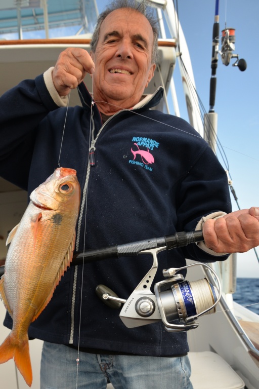 Pouvant atteindre plusieurs kg, la dorade rose est un sparidé très plaisant à pêcher Pouvant atteindre plusieurs kg, la dorade rose est un sparidé très plaisant à pêcher