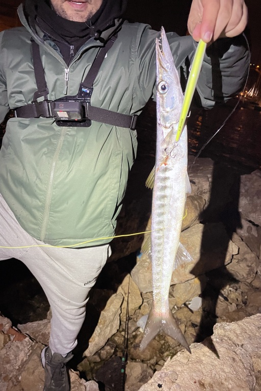 Les Mommotti Seaspin sont redoutables sur les barracudas ! Les Mommotti Seaspin sont redoutables sur les barracudas !
